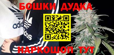 PSILOCYBIN Будённовск